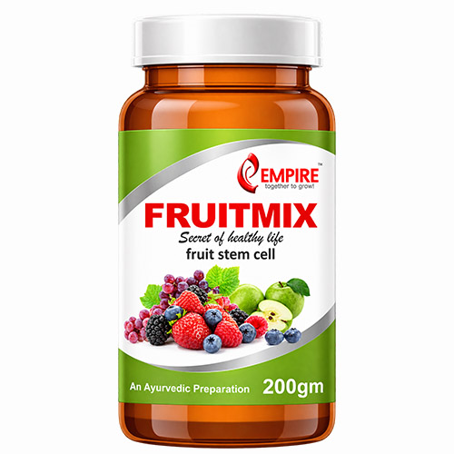 FRUITMIX POWDER - 200GM